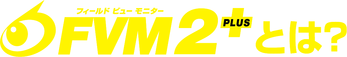 FVM2+とは